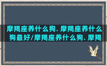 摩羯座养什么狗. 摩羯座养什么狗最好/摩羯座养什么狗. 摩羯座养什么狗最好-我的网站